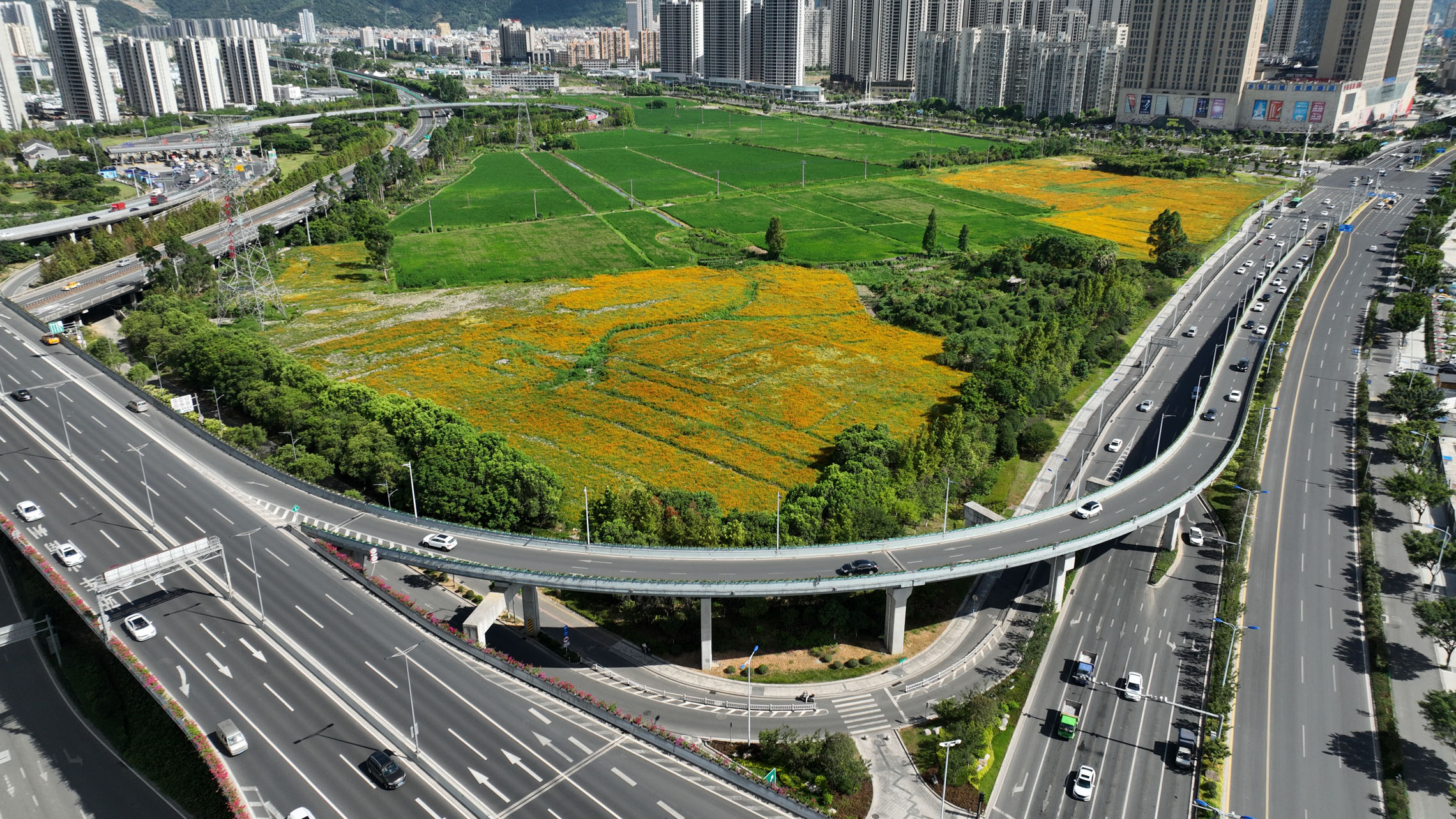 溫州動車南站（寧波路右轉匝道）鋼橋.JPG